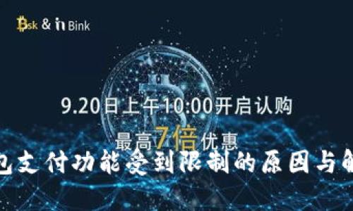 数字钱包支付功能受到限制的原因与解决方案