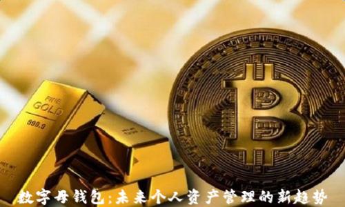 
数字母钱包：未来个人资产管理的新趋势
