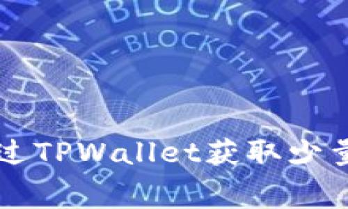 : 如何通过TPWallet获取少量BNB矿费