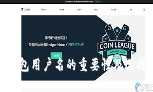 数字钱包用户名的重要性及选择指南
