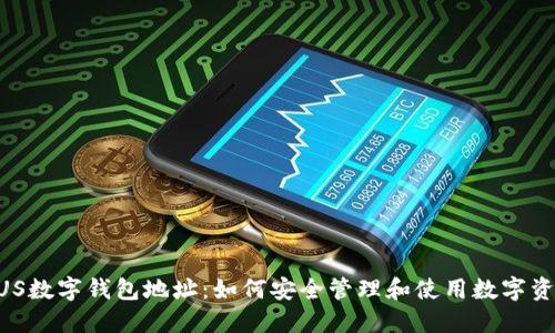 BUS数字钱包地址：如何安全管理和使用数字资产