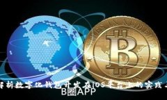 全面解析数字化钱包开发在iOS平台上的实践与挑